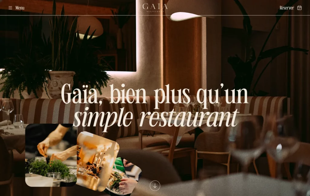 Image du site de Gaïa